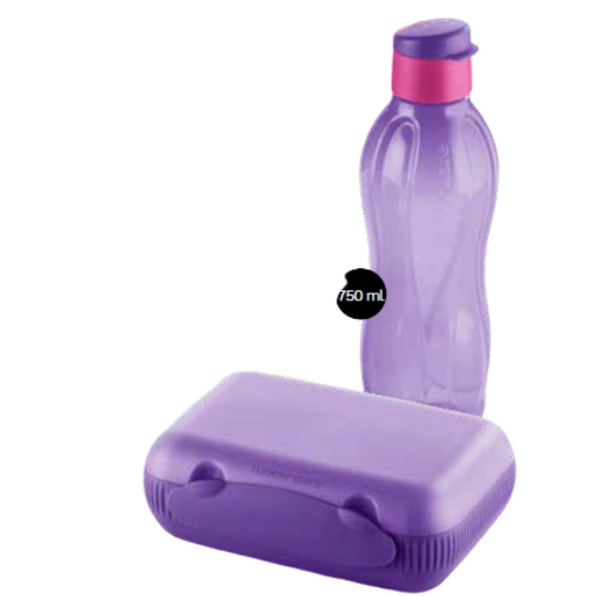 tupperware bottle and on the go luncher