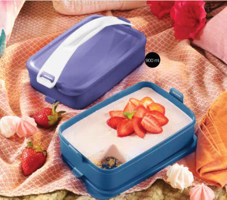 tupperware click to go lunchboxes